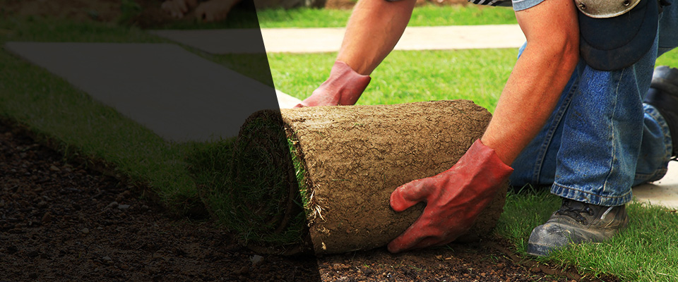 Zumbrota Landscapers